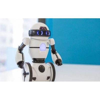 智能电话销售机器人:一键营销工具!